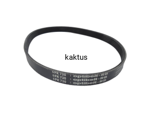 PASEK GLEBOGRYZARKI HORTMASZ X-GT65 CJD-1002 TYŁ