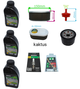 Zestaw serwisowy do silnika MTD THORX 420CCM