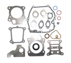 ZESTAW USZCZELEK BRIGGS 592173 ZAM. 799495 796661