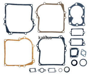 ZESTAW USZCZELEK BRIGGS CLASSIC SPRINT ZAMIENNIK