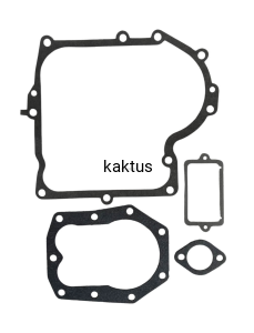 ZESTAW USZCZELEK BRIGGS 10-13HP DOLNOZAWOROWY