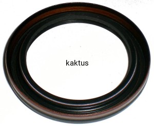 USZCZELNIACZ 41x54x6 DOLNY BRIGGS 795387