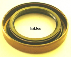 USZCZELNIACZ 25x38x6 DOLNY  29610018