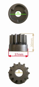 ZĘBATKA KOŁA P SQBW/T48SBW  D-12Z 122570133/0
