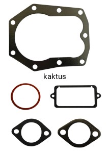 USZCZELKI BRIGGS KPL. 498539 12HP REG ZAWORÓW