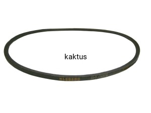 PASEK KLINOWY BIEG TYŁ EUROSYSTEM Z-5