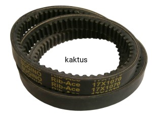 PASEK GLEBOGRYZARKI HORTMASZ CJD-1003 PRZÓD