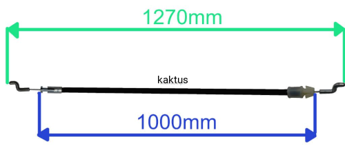 49150_18520