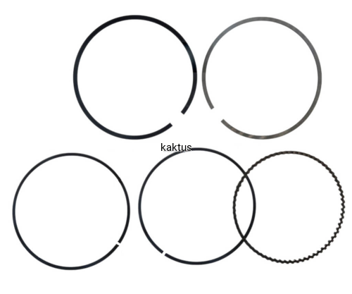 52248_20456