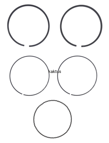 53071_21016