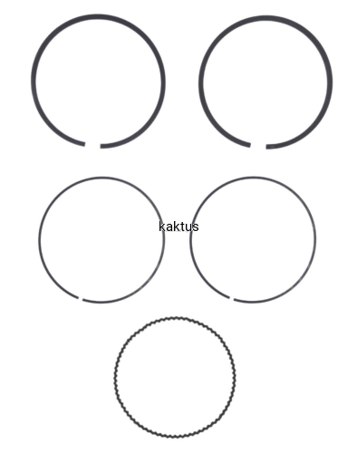 53070_21017