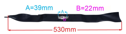 53451_21095