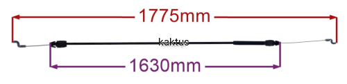 52901_21561