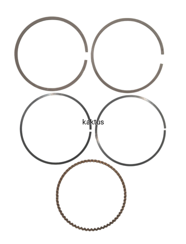 52922_22110