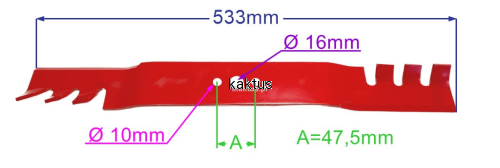 54462_22249