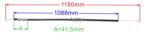 54595_22454