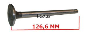 ZAWÓR WYDECHOWY BRIGGS 691796