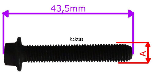 45433_16653