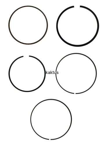 45412_16675