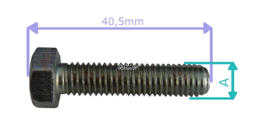 44719_17007