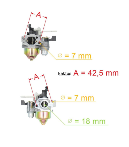 48455_18300