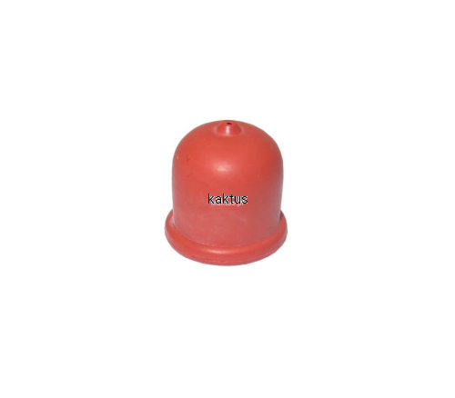 49256_19029