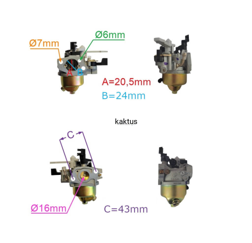 53988_21498
