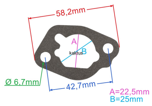 49645_21816