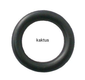 ORING MYJKI