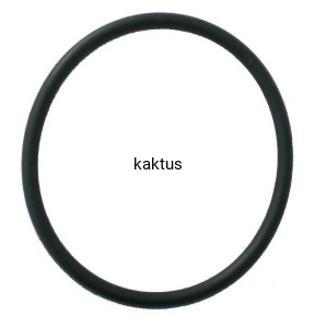 ORING MYJKI