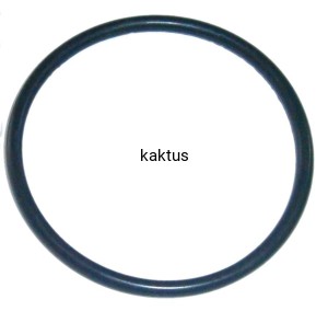 "O" RING OPRYSKIWACZA OLEO-MAC